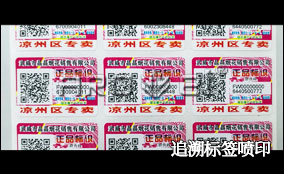 K1 宽幅UV可变数据喷印系统Technical Parameters